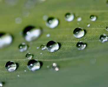 drops-936779_1920